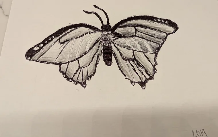 Inked Wings, ink by Wills McFadden