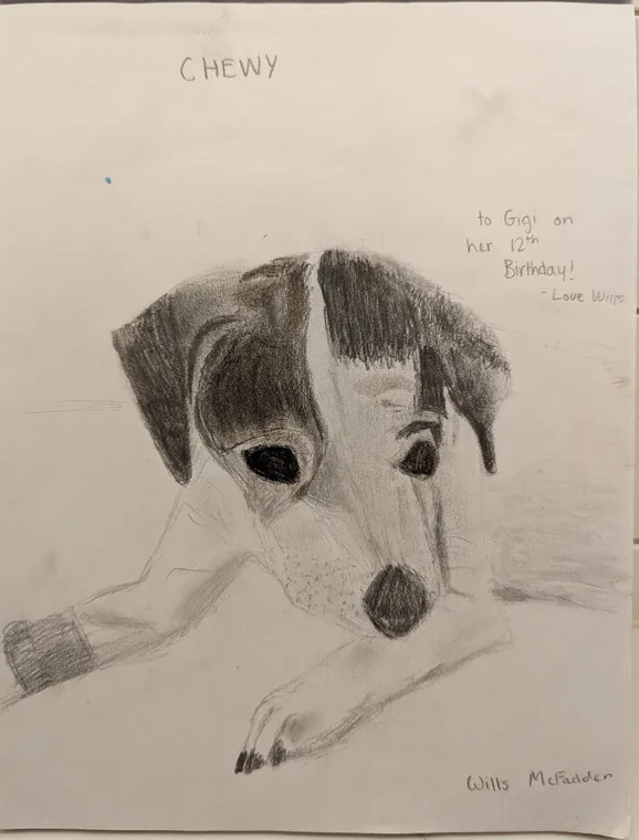 Chewy, graphite by Wills McFadden