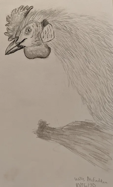 The Sentinel, graphite by Wills McFadden