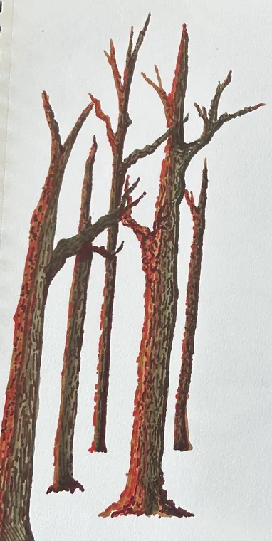 Crimson Winter Trunks, paint & colored pencil by Wills McFadden