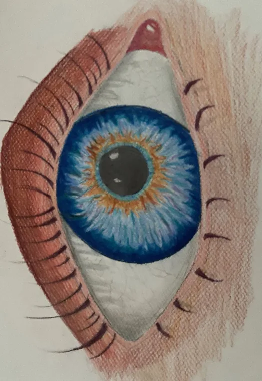 Watchful Blue, colored pencil by Wills McFadden