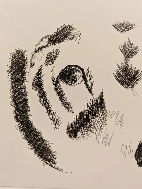 Inked Eye Swirl, pen & ink by Wills McFadden