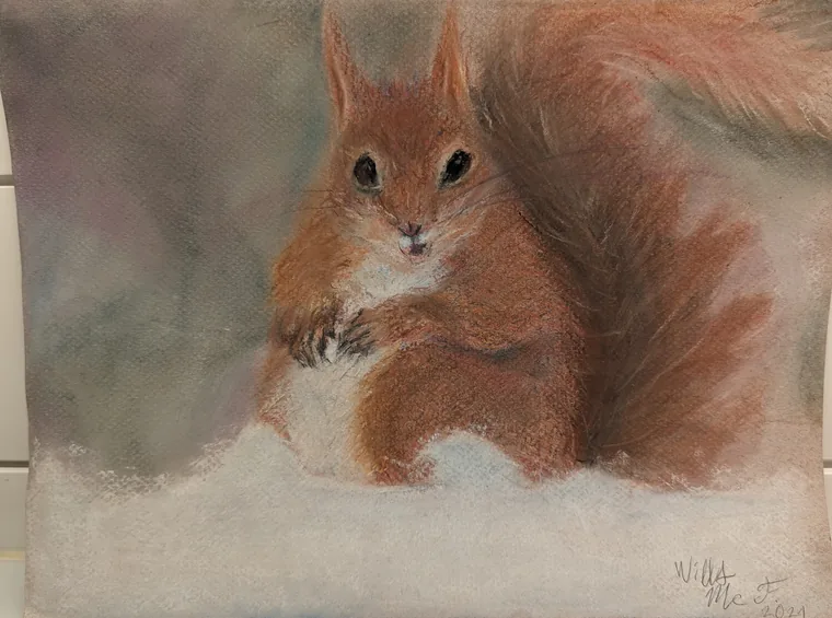 Ember in Snow, soft pastel by Wills McFadden